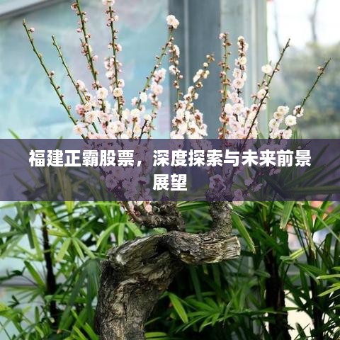 產(chǎn)品展示 第7頁