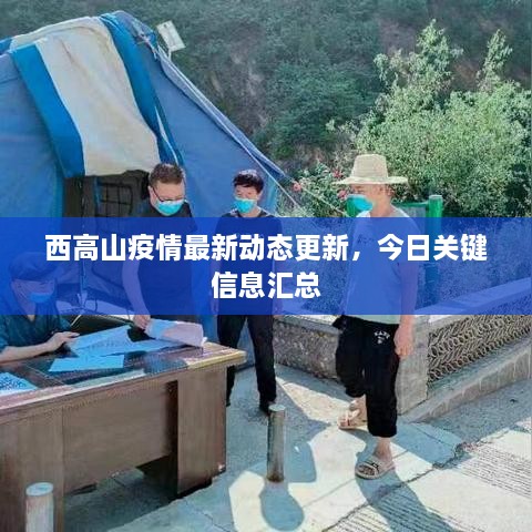 西高山疫情最新動(dòng)態(tài)更新，今日關(guān)鍵信息匯總