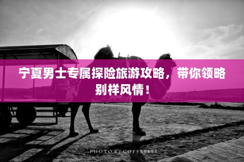 寧夏男士專屬探險(xiǎn)旅游攻略，帶你領(lǐng)略別樣風(fēng)情！
