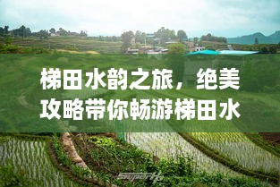 另謀高就