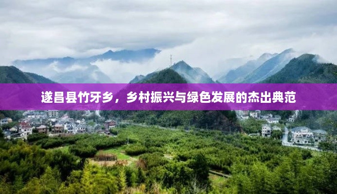 遂昌縣竹牙鄉(xiāng)，鄉(xiāng)村振興與綠色發(fā)展的杰出典范