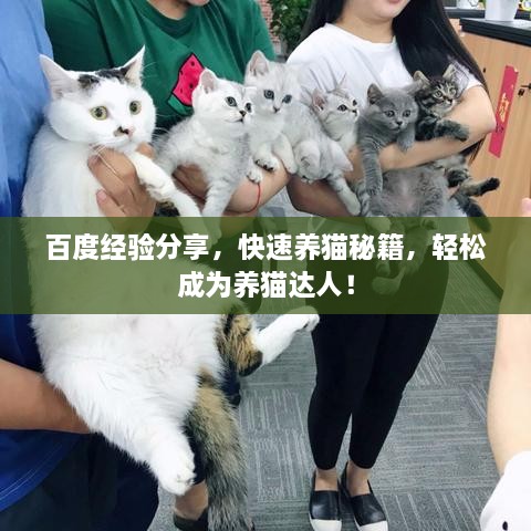 百度經(jīng)驗(yàn)分享，快速養(yǎng)貓秘籍，輕松成為養(yǎng)貓達(dá)人！