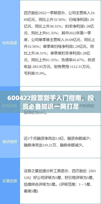 600422股票新手入門指南，投資必備知識(shí)一網(wǎng)打盡
