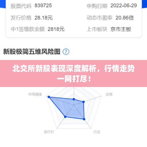 北交所新股表現(xiàn)深度解析，行情走勢(shì)一網(wǎng)打盡！
