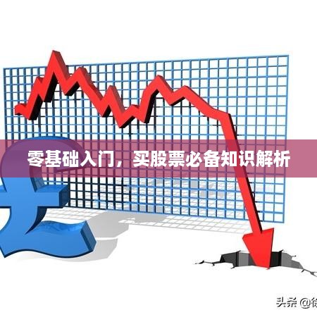 零基礎(chǔ)入門，買股票必備知識解析