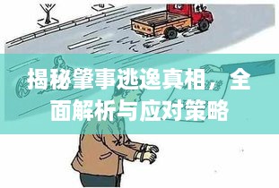 揭秘肇事逃逸真相，全面解析與應(yīng)對策略